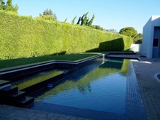 Enlarge photo 41