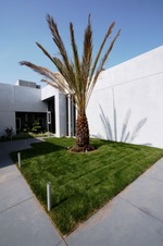 Enlarge photo 53