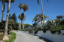 Enlarge photo 19