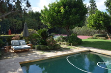 Enlarge photo 28