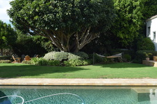 Enlarge photo 29