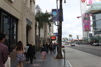 Enlarge photo 19