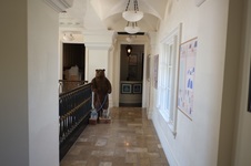 Enlarge photo 55