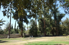 Enlarge photo 106