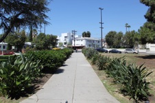 Enlarge photo 41