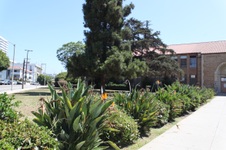 Enlarge photo 43