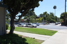 Enlarge photo 37