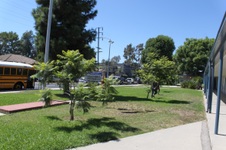 Enlarge photo 39