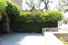 Enlarge photo 2