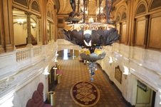 Enlarge photo 51
