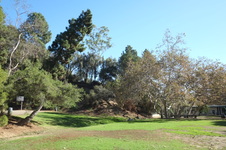 Enlarge photo 13