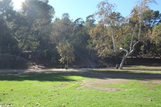 Enlarge photo 16