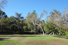 Enlarge photo 17