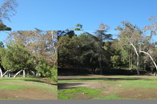 Enlarge photo 27