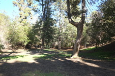 Enlarge photo 19