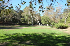 Enlarge photo 24