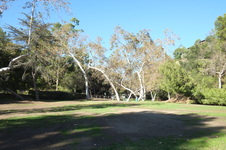 Enlarge photo 25