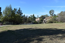 Enlarge photo 117