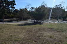 Enlarge photo 124