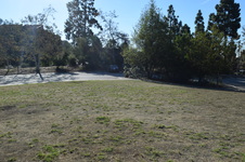 Enlarge photo 125