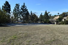 Enlarge photo 126