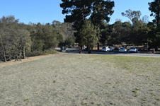 Enlarge photo 127
