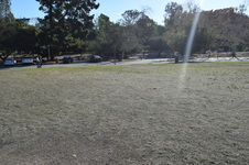 Enlarge photo 128