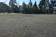 Enlarge photo 129