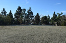 Enlarge photo 130