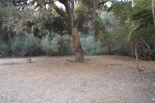 Enlarge photo 56