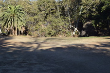 Enlarge photo 59