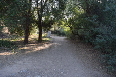 Enlarge photo 60