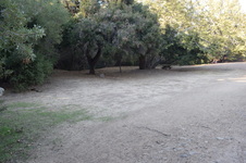 Enlarge photo 61