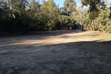 Enlarge photo 63