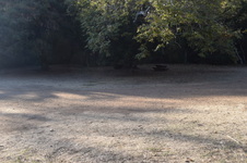 Enlarge photo 65