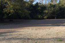 Enlarge photo 66