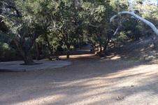 Enlarge photo 70