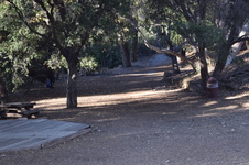 Enlarge photo 71