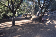 Enlarge photo 73