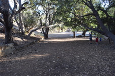 Enlarge photo 76