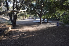 Enlarge photo 77