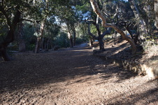 Enlarge photo 80