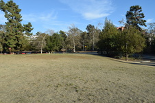 Enlarge photo 131