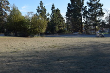 Enlarge photo 135