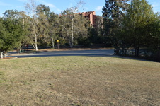 Enlarge photo 136