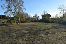 Enlarge photo 83