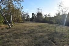 Enlarge photo 84