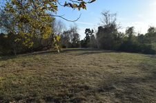 Enlarge photo 85