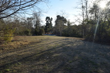 Enlarge photo 86