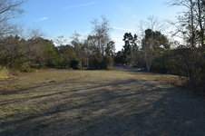 Enlarge photo 87